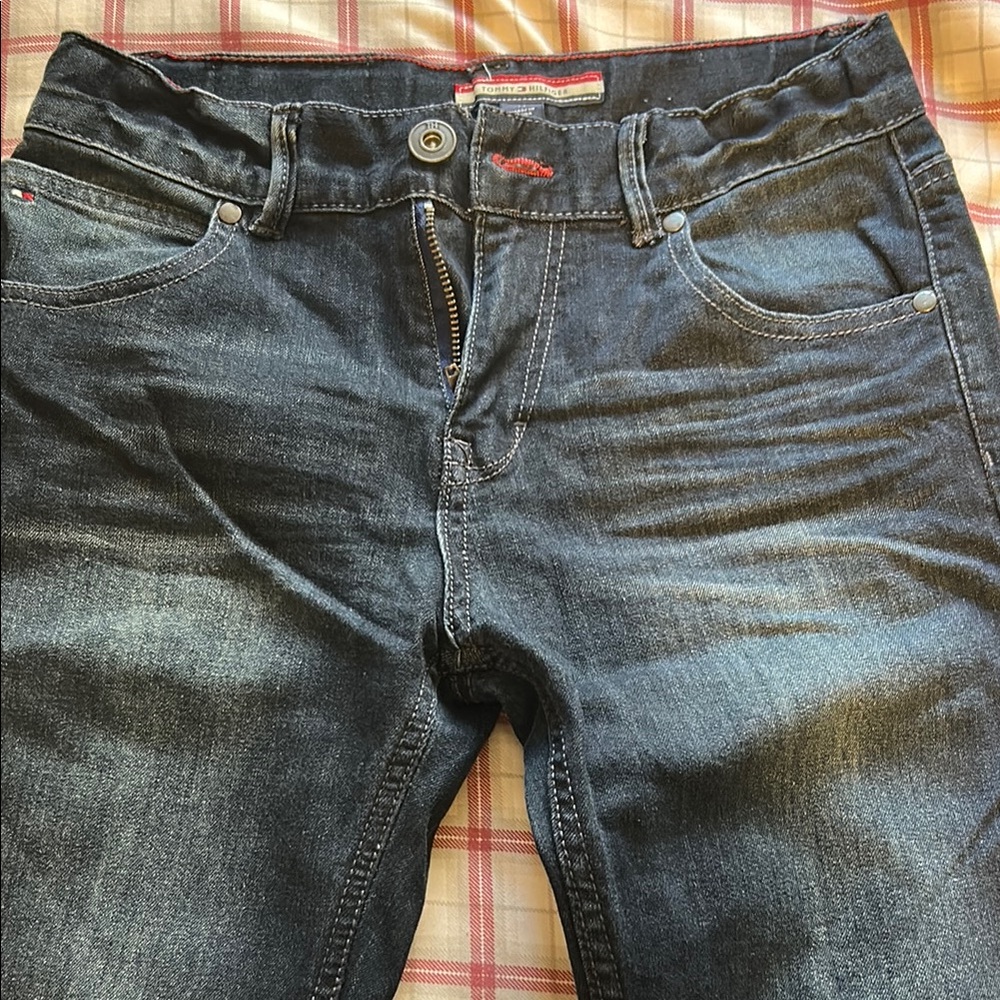 Tommy Hilfiger Men's Blue Jeans